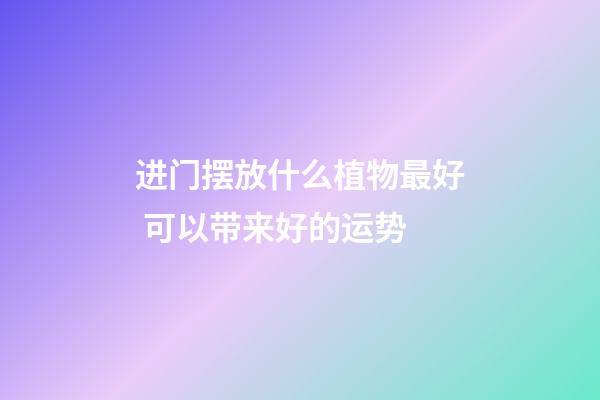 进门摆放什么植物最好 可以带来好的运势